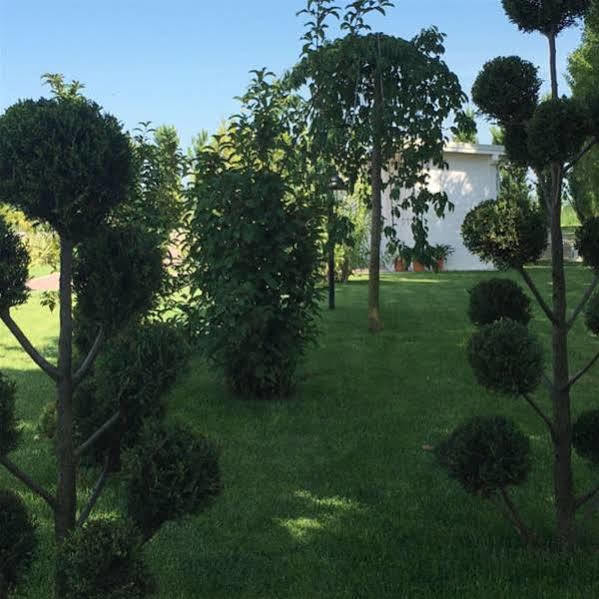 Hotel Bussana Porto Tolle Kültér fotó
